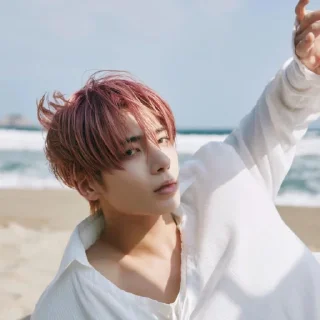 🐚