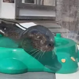 💦