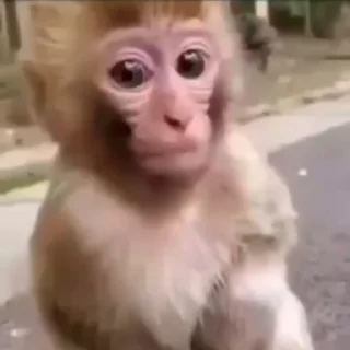 👶