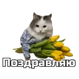 🎊