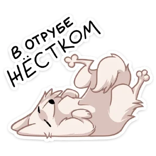 😴