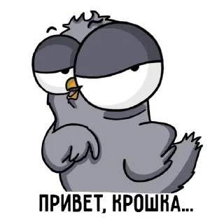 😎