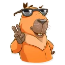 😎