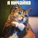 😒