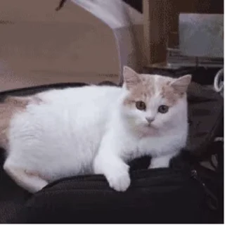 😳