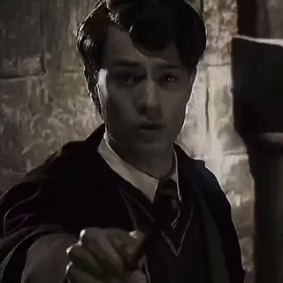 🐍