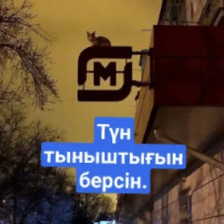 🌃