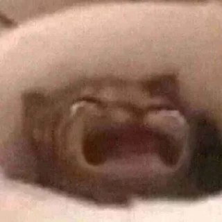😅