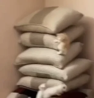 😵