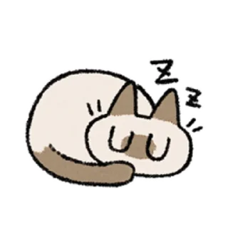 😺