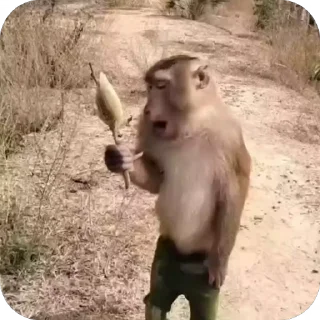 🤩