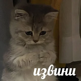 🥺