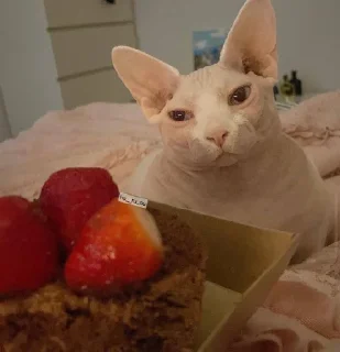 🍓