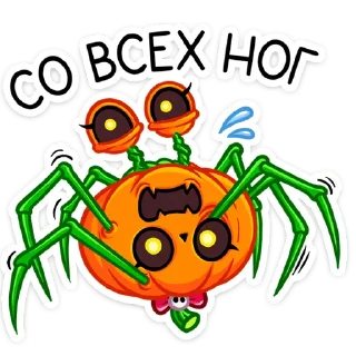 🕷