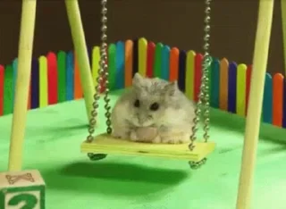 🤩