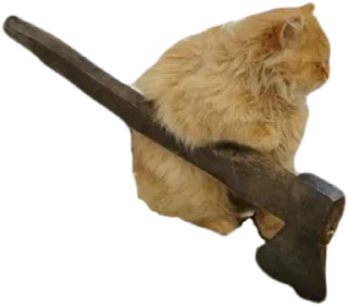 🔨