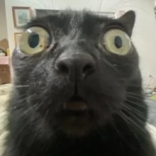 🤯