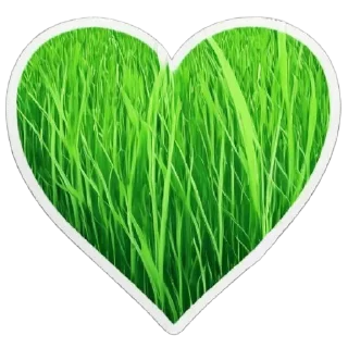 💚