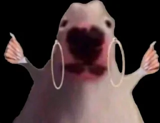 🐶