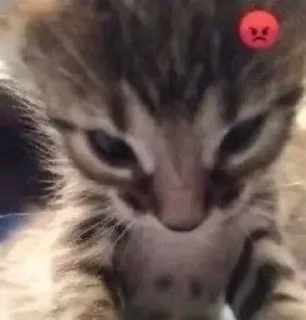 😡