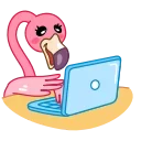 👨‍💻