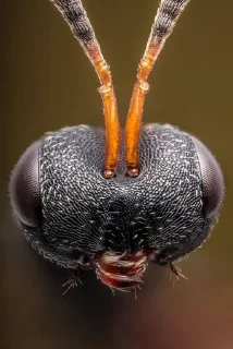 😕