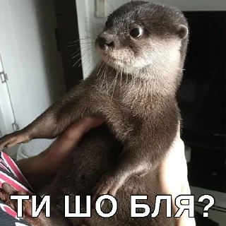 😱