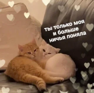 💛