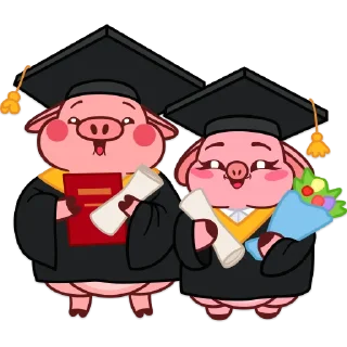 👨‍🎓