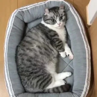 🥰