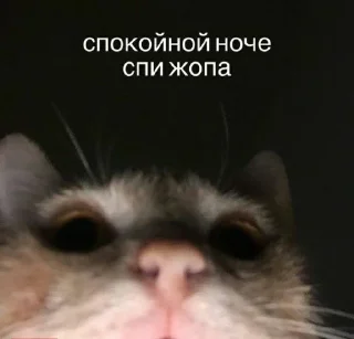 😆