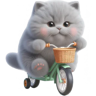 🚲
