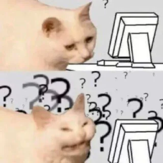 🤨