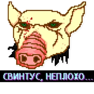 🐷