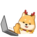 💻