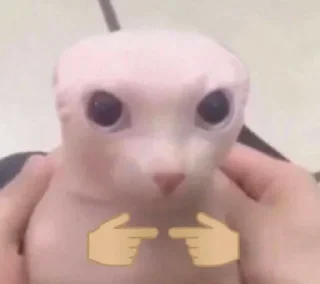 👉