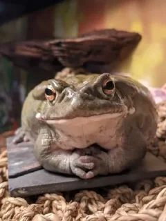 🙂