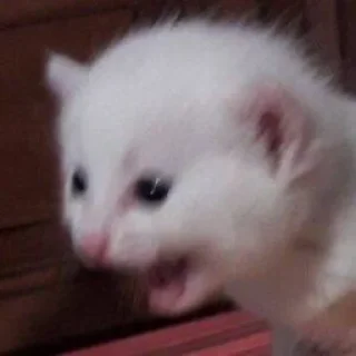 😡
