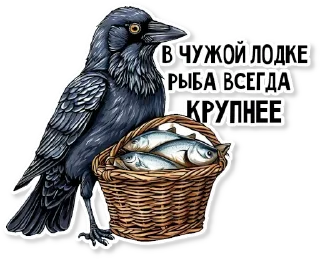 🐟
