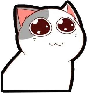 🐈