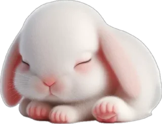 😴