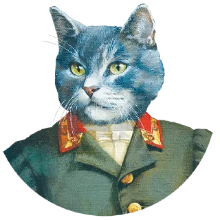 🐈