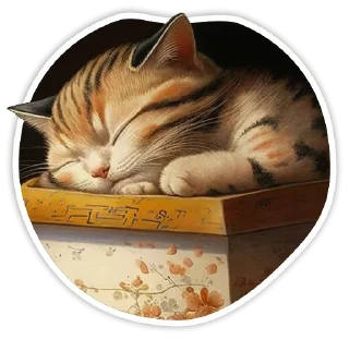 💤