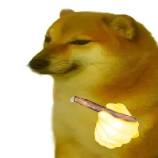 🚬