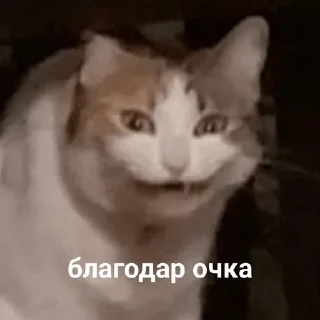 😏