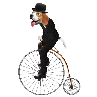 🐕