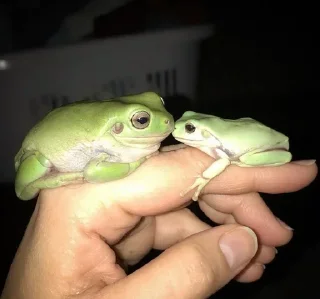 😘