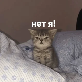 😡
