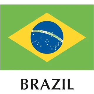 🇧🇷