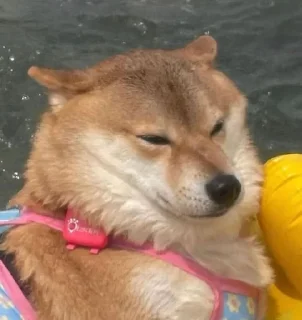 😑